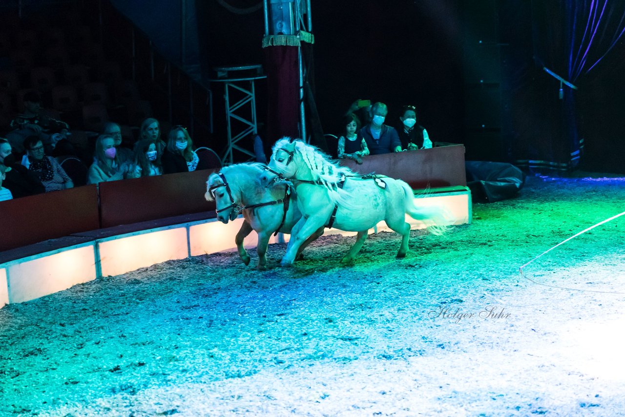 Bild 385 - Zirkus Europa